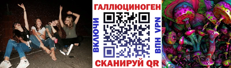 Псилоцибиновые грибы Psilocybe  где продают наркотики  Елизаветинская 